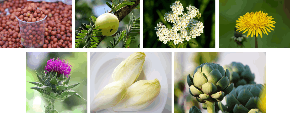 LivCare Liver Support